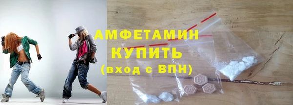 мдпв Ладушкин