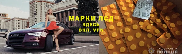 мдпв Ладушкин