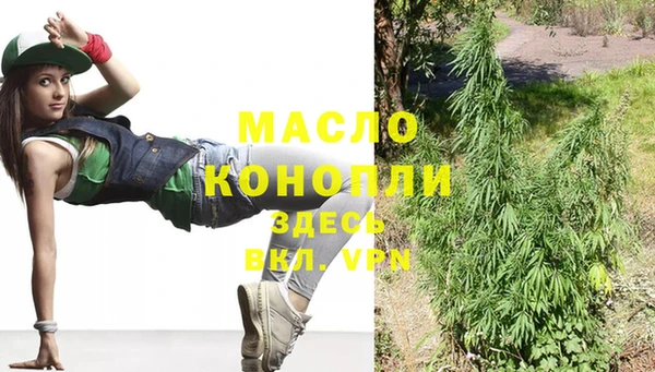 мдпв Ладушкин